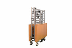 Five Function Folding Ultra Light Hospital Bed (B1)