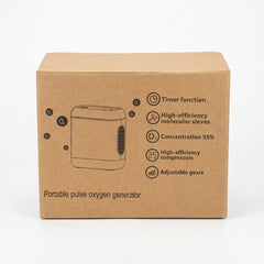 Portable Pulse Oxygen Concentrator DF-012BX (5L)